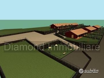 Terreno edificabile con progetto a montargano