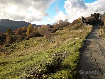 Terreno agricolo e boschivo