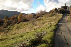 Terreno agricolo e boschivo
