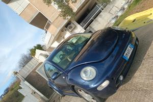 New Beetle neopatentati