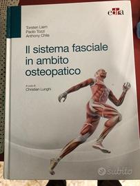 Il sistema fasciale in ambito osteopatico