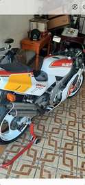 Suzuki rgv 250
