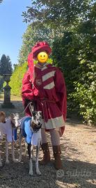 Abito nobile medievale