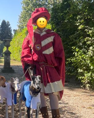 Abito nobile medievale