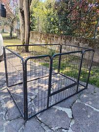 recinto per cani 