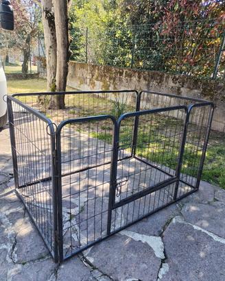 recinto per cani 