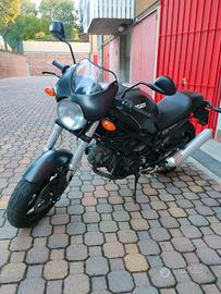 Ducati Monster 695 dark
