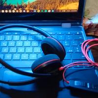 Plantronics C3220 cuffie pc stereo usb-c