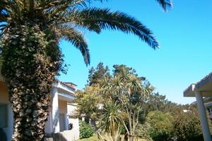 Last 22 ago 1 set in costa smeralda bilo 3 pax