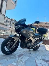 YAMAHA TDM 900 –  PRONTA ALL’USO