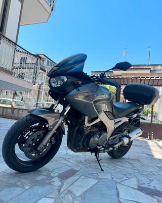 YAMAHA TDM 900 –  PRONTA ALL’USO
