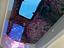 Immagine 27