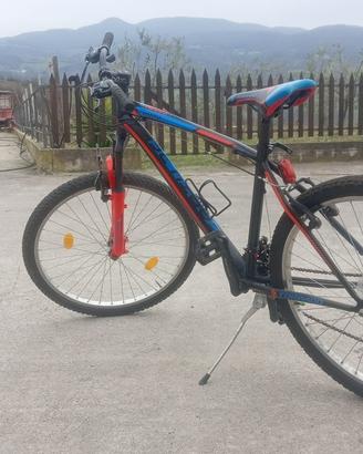Mountain bike
