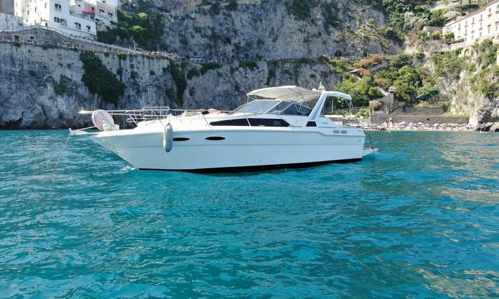 Sea ray 30