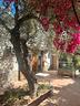villa-immersa-nella-natura-splendida-vista-mare