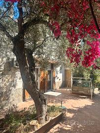 Villa immersa nella natura splendida vista mare