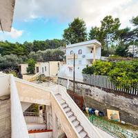 5 LOCALI A VICO DEL GARGANO