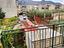 Immagine 27