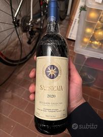 Sassicaia 2020