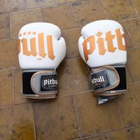 Guanti da boxe