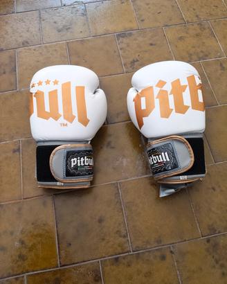 Guanti da boxe