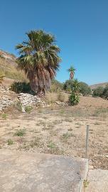Terreno con casetta