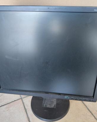Monitor 19" LCD NEC MultiSync 