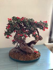 Bonsai artificiale natalizio