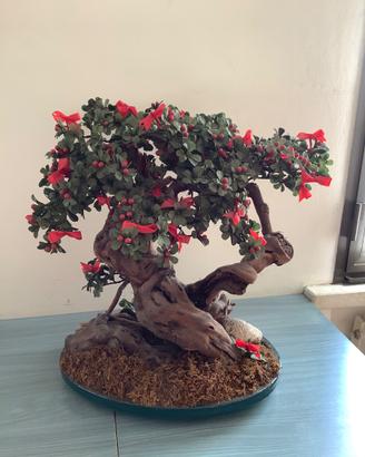 Struttura in legno da decorare