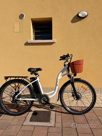 E-BIKE DYU C6