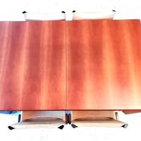 Tavolo da pranzo allungabile Molteni