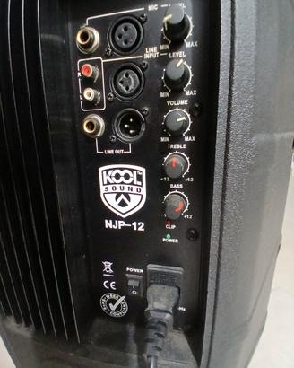 amplificatore per chitarra 