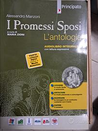 i promessi sposi antologia