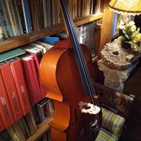 Violoncello da studio 1/8