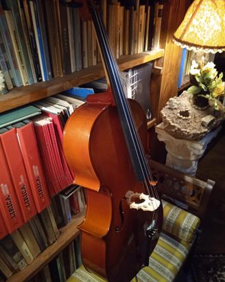 Violoncello da studio 3/4