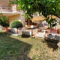 Appartamento Tortoreto [Cod. rif 3247541VRG]