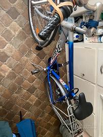 Bicicletta