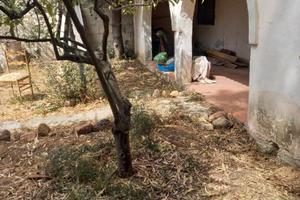 Casa indipendente con giardino Sant' Isidoro