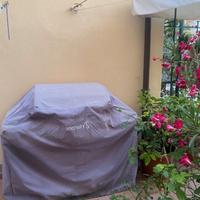 barbeque da giardino a gas