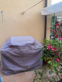 barbeque da giardino a gas