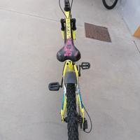 bici 20 pollici 