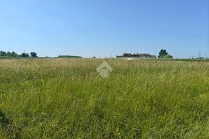 TER. RESIDENZIALE A GAIARINE