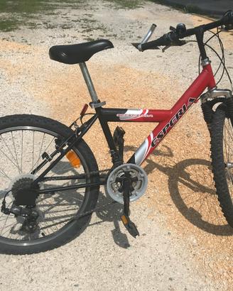 Bicicletta Esperia