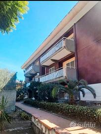 Cittadella universitaria/Policlinico