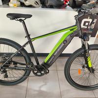 Bici E-bike Argento Performance (NUOVA)