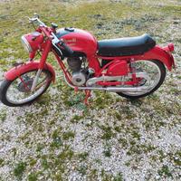 Benelli Leoncino 125 anno 1955
