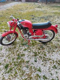 Benelli Leoncino 125 anno 1955
