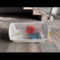 Gabbietta per criceto