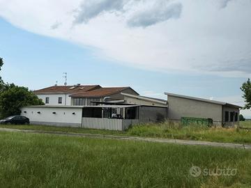 SPIP LOTTO 10000mq EDIFICABILE per 5000mq