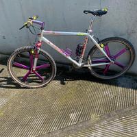 Mountain bike alluminio Shimano Magura razze